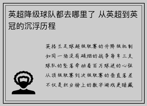 英超降级球队都去哪里了 从英超到英冠的沉浮历程